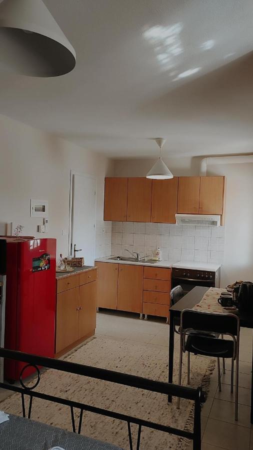 Amaltheia Studio Apartment Ioannina Exterior photo